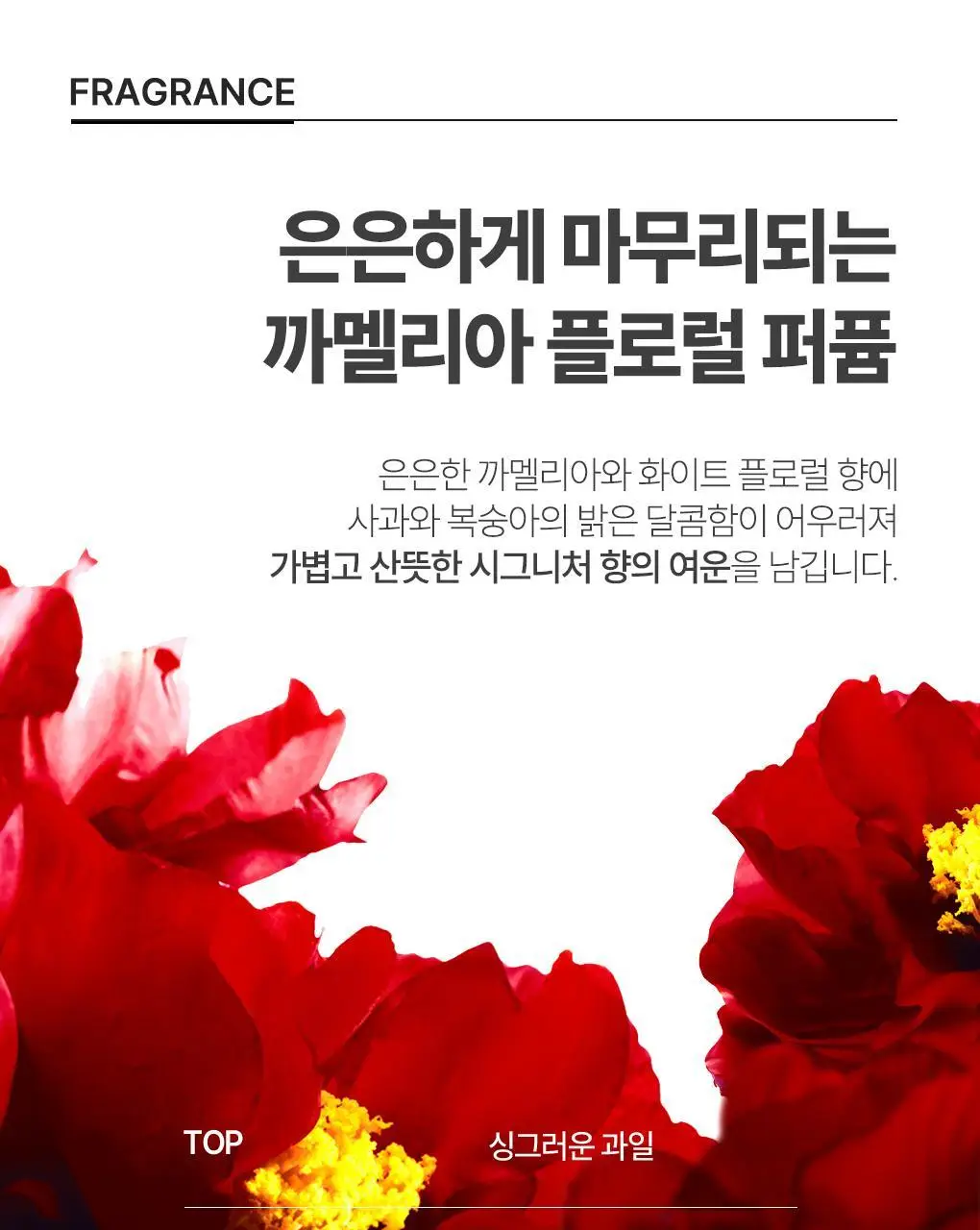 [수분&윤기케어] 츠바키 프리미엄 모이스트 & 리페어 트리트먼트 160g 상세페이지 19